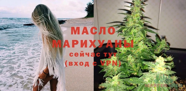 гидра Надым