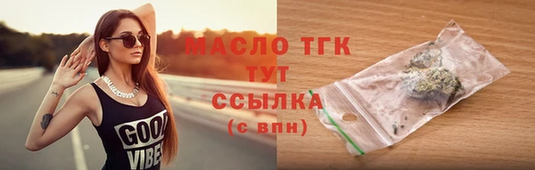 гидра Надым