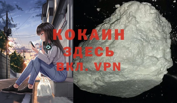 гидра Надым