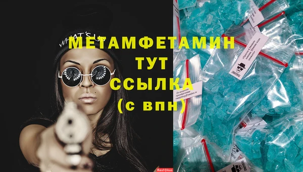 гидра Надым