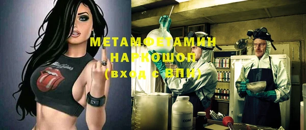 гидра Надым