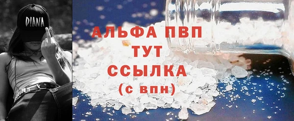 гидра Надым
