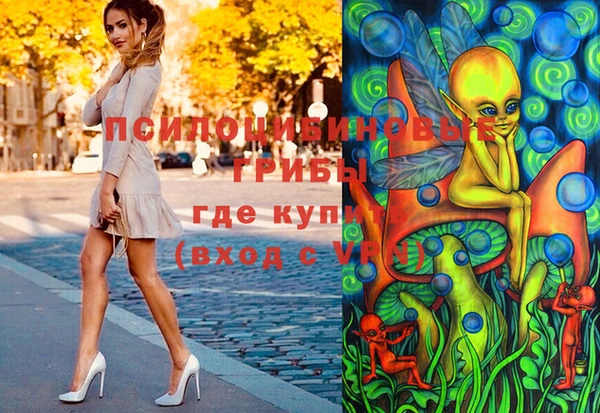 гидра Надым