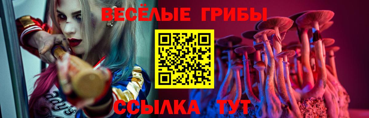 Псилоцибиновые грибы ЛСД  Галлюциногенные грибы Psilocybine cubensis  Тутаев  Вход с VPN 
